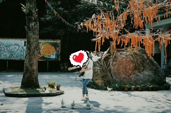 新年连续上涨!国际油价重回80美元,中石油股价也嗨了!未来还能涨?
