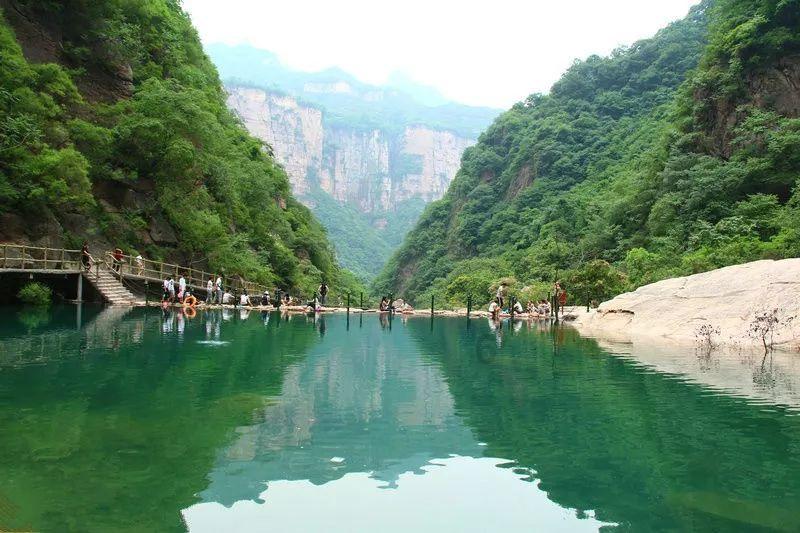 动物帮帮忙保卫家园