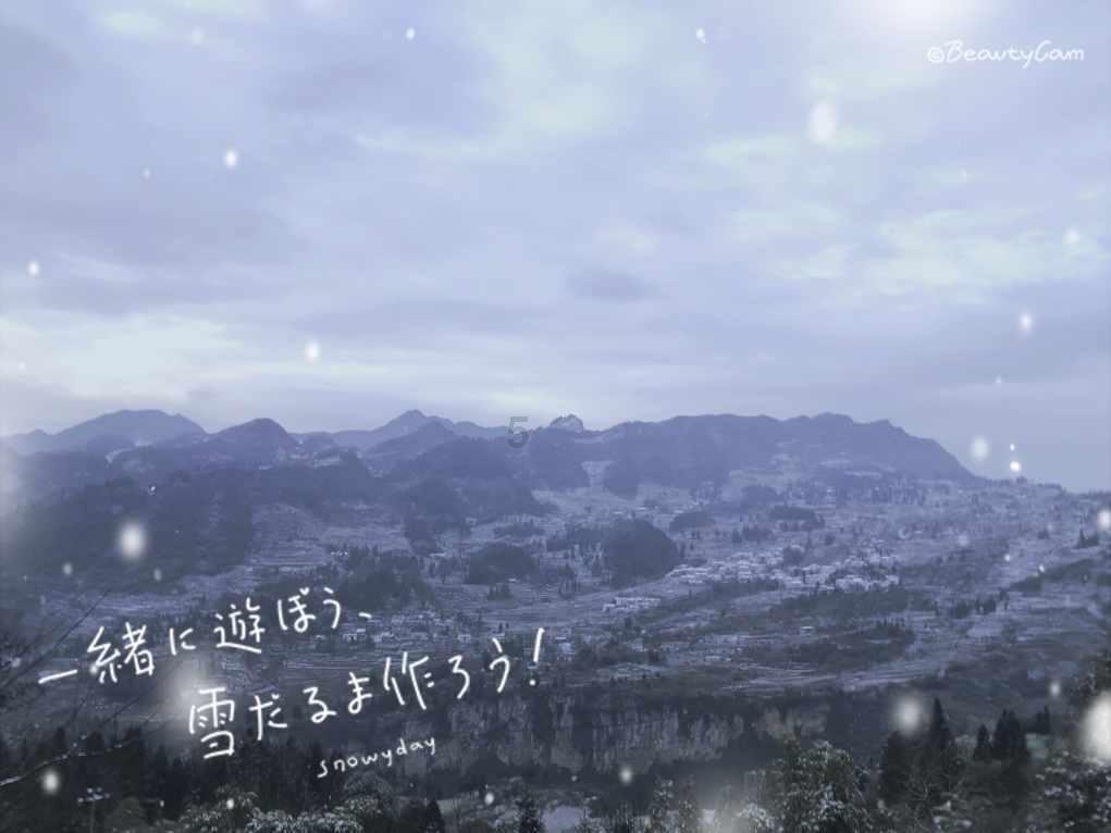 我的王朝