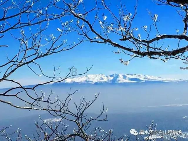 嘉日单词