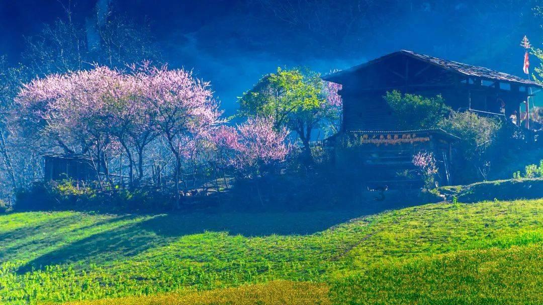 清凉夏日冰淇淋
