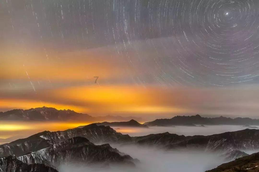 逃离诡异之林