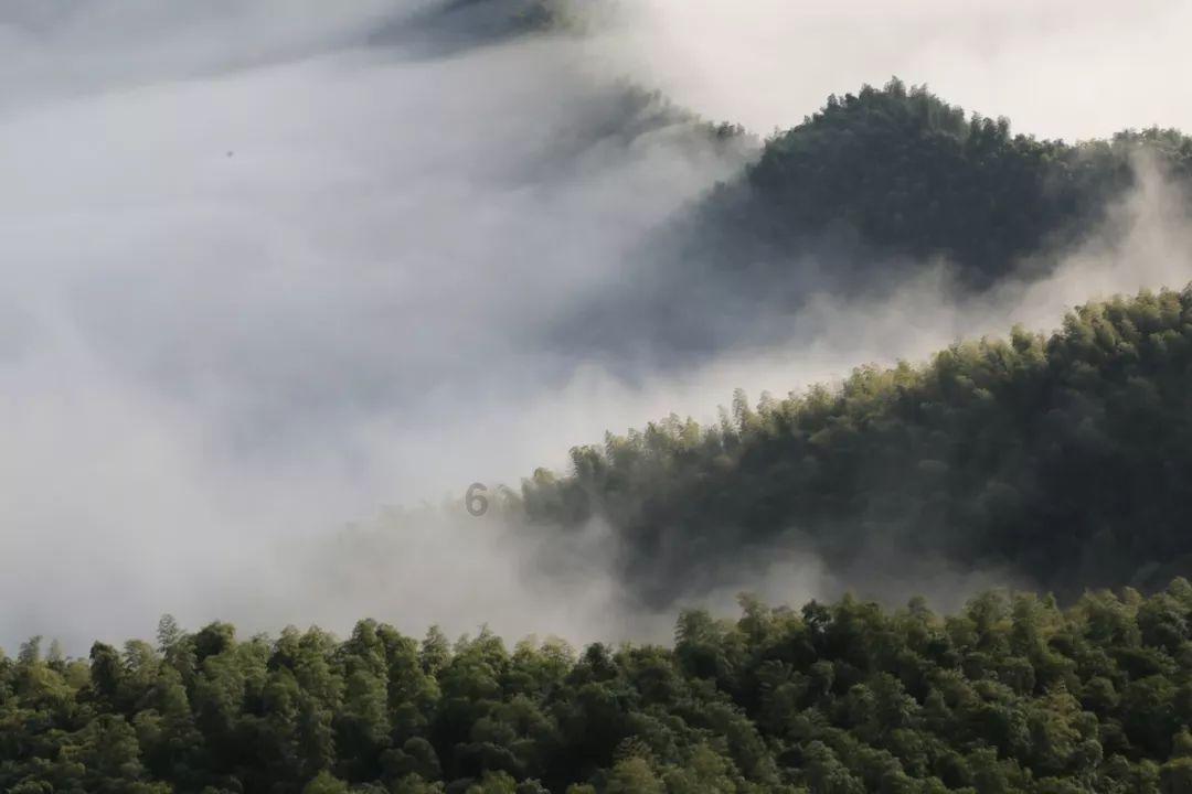 瑞王朱常浩：一个好佛而不近女色，但却又贪财的藩王！