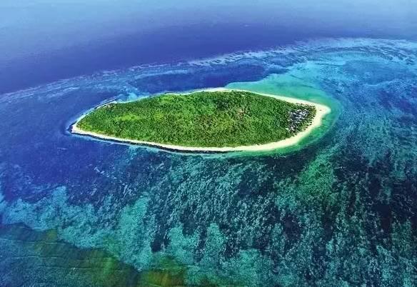 便衣街头抓疑犯遭激烈反抗，公安副局长路过出手相助：一招制敌！