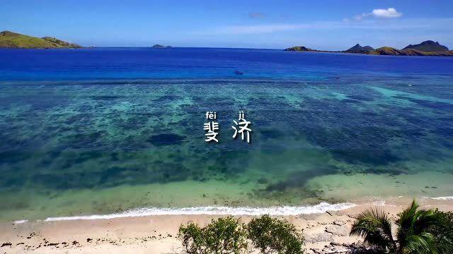 你觉得蟑螂和蚊子那个更讨厌?-分享热门话题的红迪社区