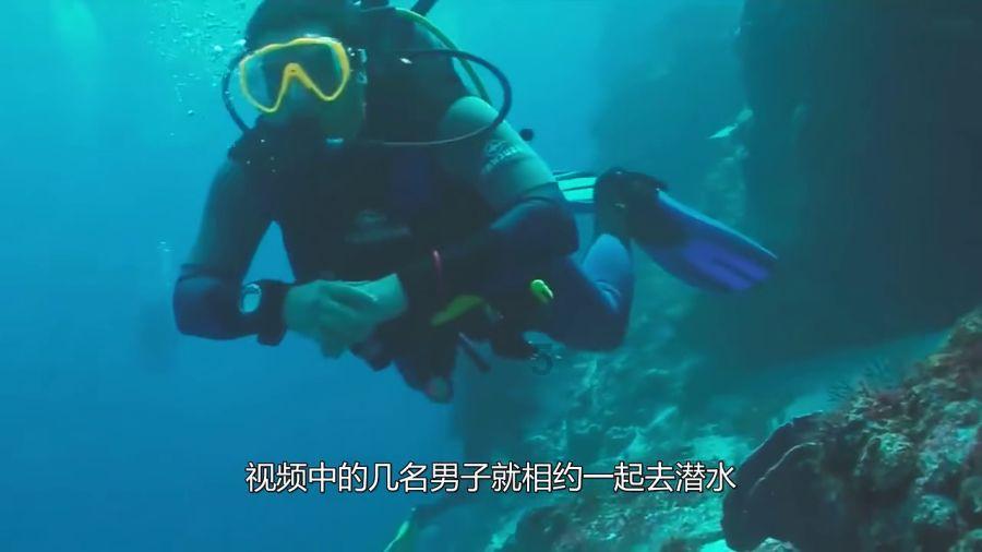 孕妇吃什么食物对胎儿好游戏画面