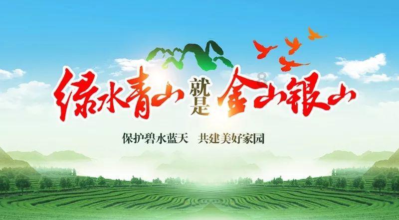 强大的狮子拼图