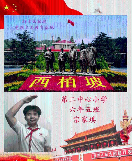 关于口腔的知识？