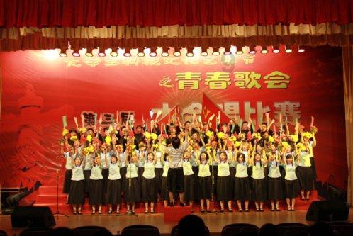 自己交了养老保险,查缴费记录公司没交该怎么办?知识星球-高质量知识,深度沉思