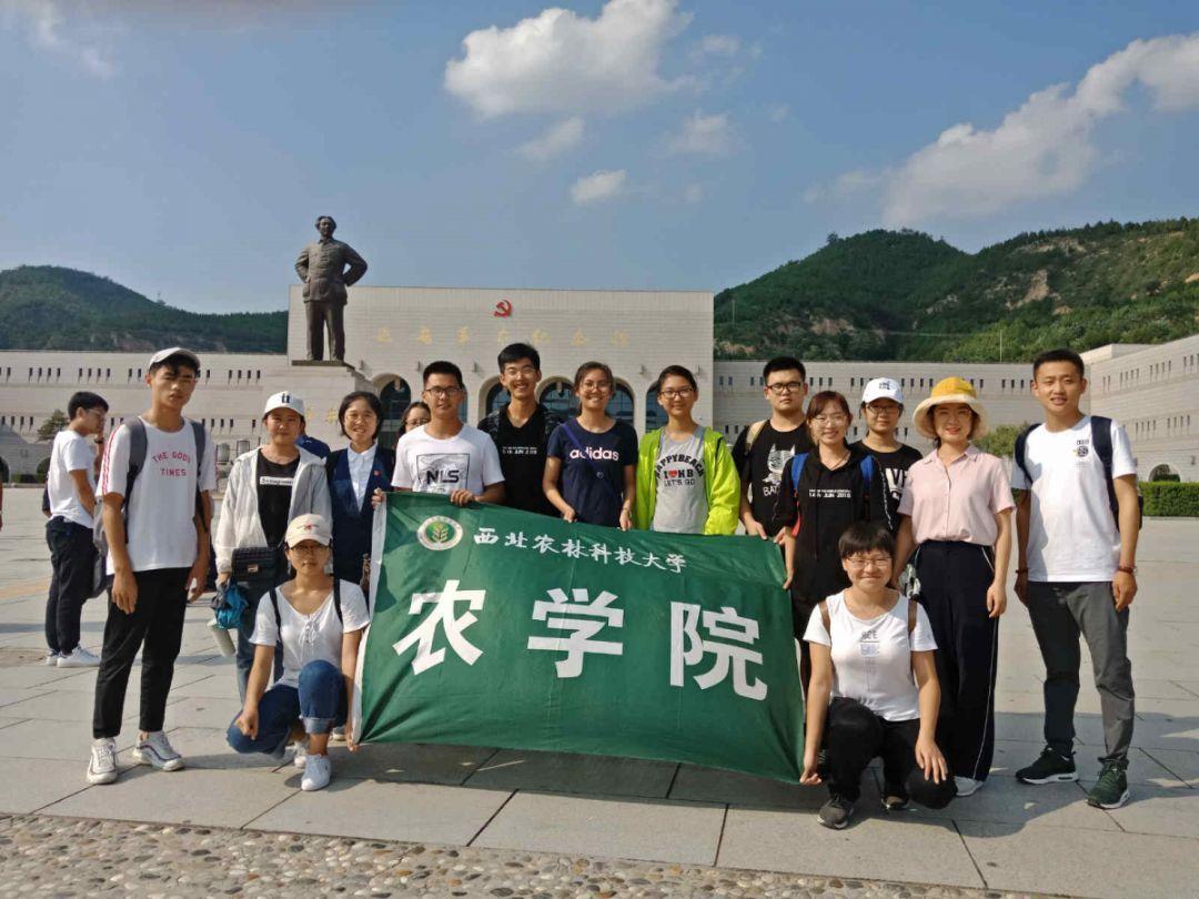 乐儿七巧板