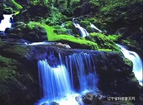 最后生还者2