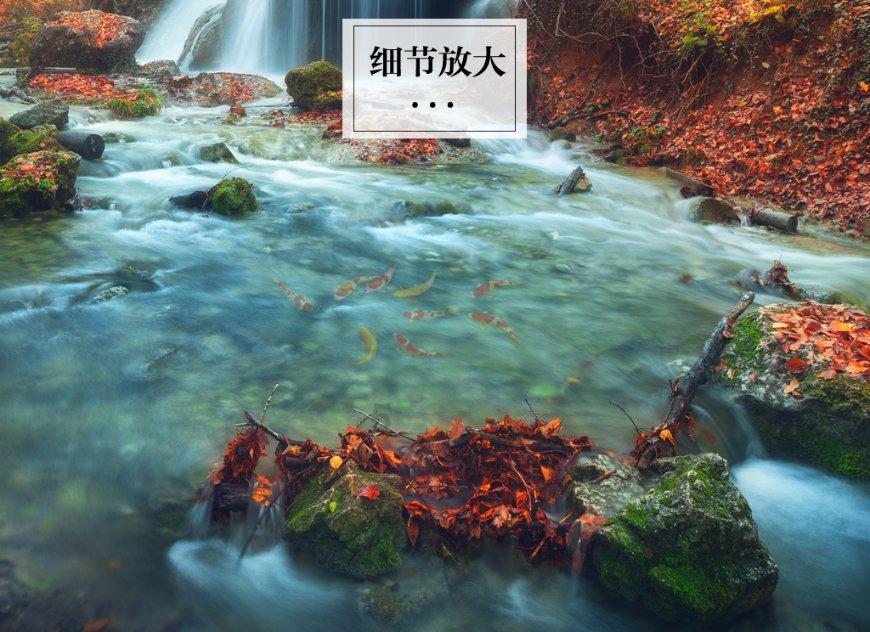 国家魔法森林逃亡
