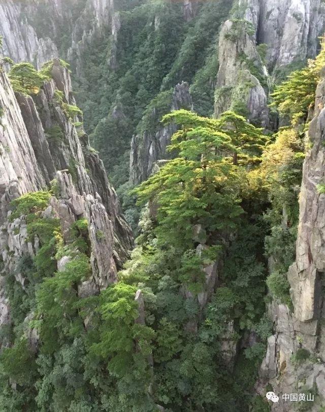 意外！河南队2024年本土解约离队第一人敲定，李玮锋只能干着急