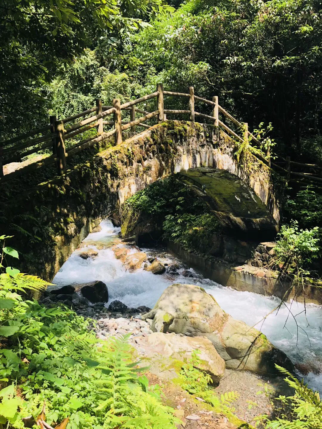 沪江开心词场