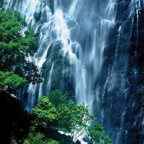 一顿浪漫晚餐
