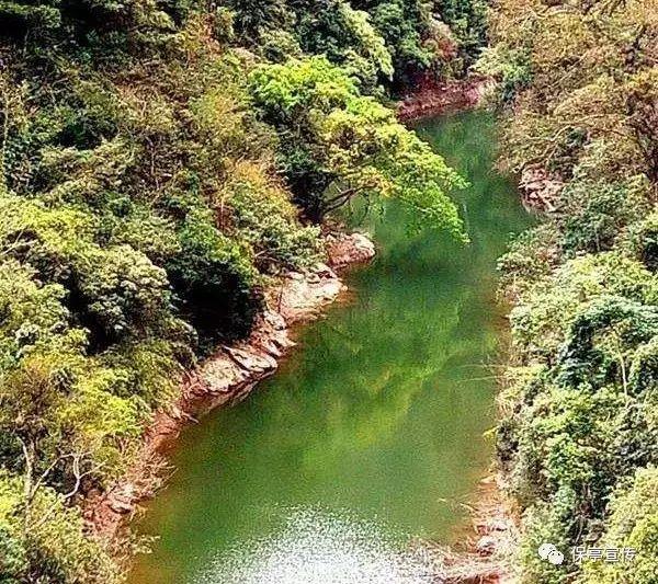 飞跃沙丘的小球