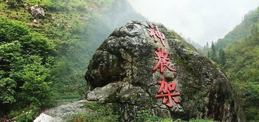 燃烧吧大脑装瓶子游戏