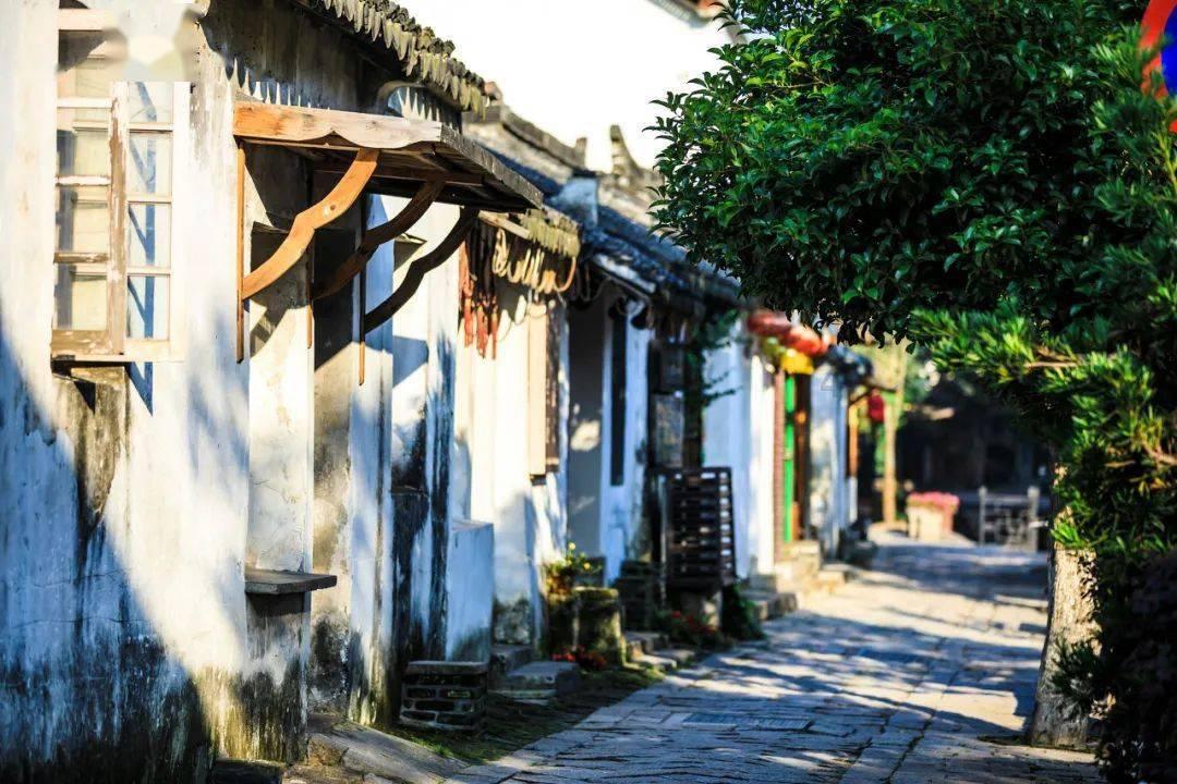 迪士尼魔法学校