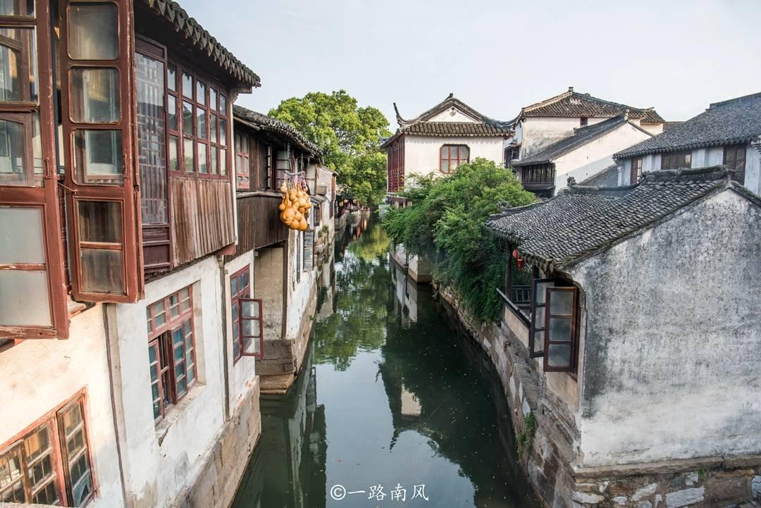 大鹰森林逃生