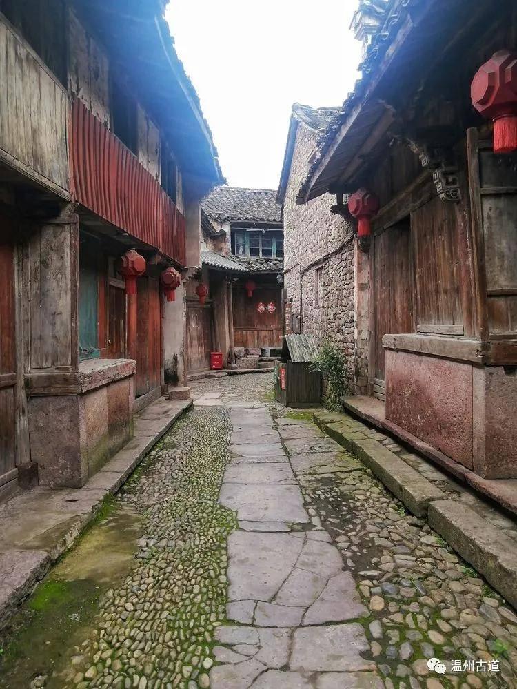 可爱小猫的发廊