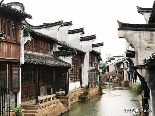 动物帮帮忙保卫家园