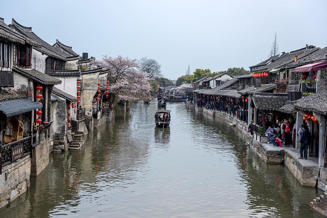 寻找沙漠珍宝
