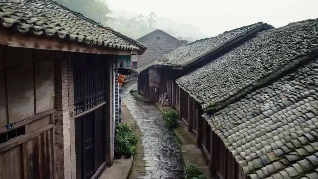 全民剧本大师内置菜单