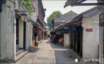 三小只僵尸的游戏时间7