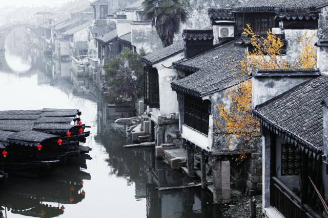 《潜水员戴夫》鱼售卖情况介绍