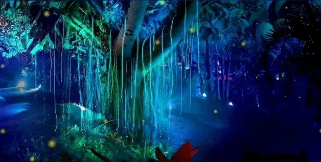 了解社保如何参保?专业知识,加入知识星球平台